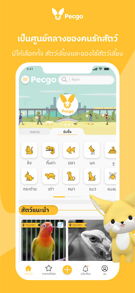 Run android online APK Pecgo from MyAndroid or emulate Pecgo using MyAndroid Run android online APK Pecgo from MyAndroid or emulate Pecgo using MyAndroid