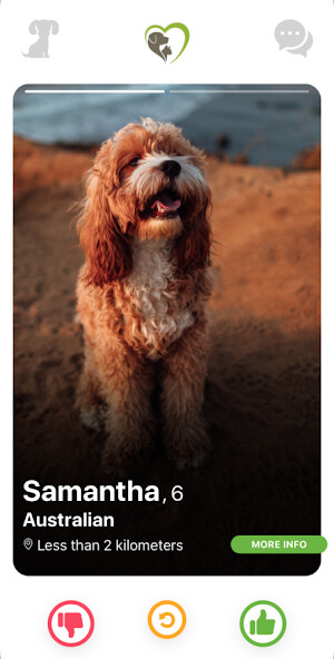 Run android online APK Pedigreender from MyAndroid or emulate Pedigreender using MyAndroid