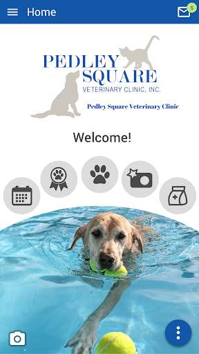 Run android online APK Pedley Square Vet from MyAndroid or emulate Pedley Square Vet using MyAndroid Run android online APK Pedley Square Vet from MyAndroid or emulate Pedley Square Vet using MyAndroid
