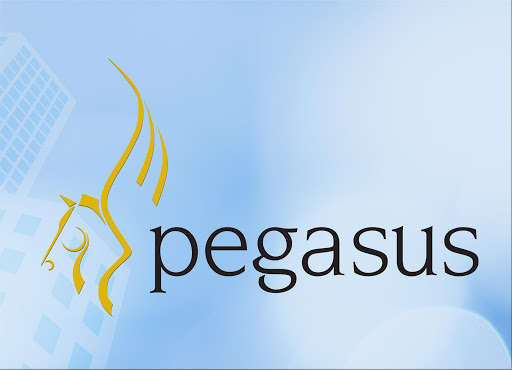 Run android online APK Pegasus Mobile Sales from MyAndroid or emulate Pegasus Mobile Sales using MyAndroid Run android online APK Pegasus Mobile Sales from MyAndroid or emulate Pegasus Mobile Sales using MyAndroid
