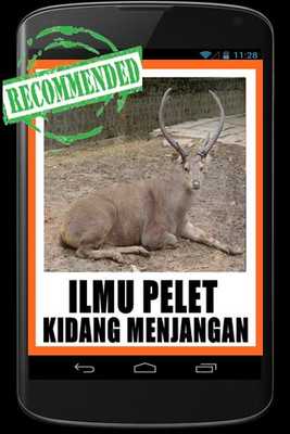 Emulate Android APK Pelet Kidang Menjangan Emulate Android APK Pelet Kidang Menjangan
