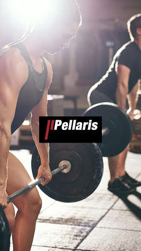 Run android online APK Pellaris from MyAndroid or emulate Pellaris using MyAndroid