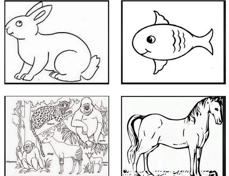 Run android online APK Pencil Sketch Animals from MyAndroid or emulate Pencil Sketch Animals using MyAndroid Run android online APK Pencil Sketch Animals from MyAndroid or emulate Pencil Sketch Animals using MyAndroid