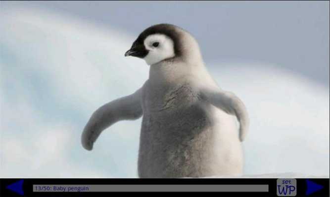 Emulate Android APK Penguin Gallery HD