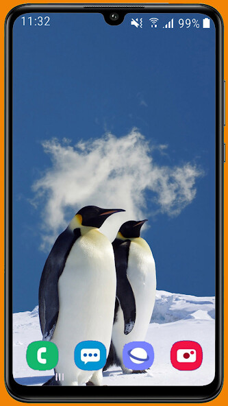 Run android online APK Penguin HD Wallpaper from MyAndroid or emulate Penguin HD Wallpaper using MyAndroid Run android online APK Penguin HD Wallpaper from MyAndroid or emulate Penguin HD Wallpaper using MyAndroid