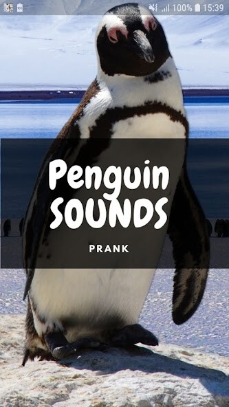 Run android online APK Penguin Sounds and Wallpapers from MyAndroid or emulate Penguin Sounds and Wallpapers using MyAndroid Run android online APK Penguin Sounds and Wallpapers from MyAndroid or emulate Penguin Sounds and Wallpapers using MyAndroid