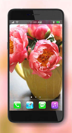 Run android online APK Peony Amazing Flowers from MyAndroid or emulate Peony Amazing Flowers using MyAndroid Run android online APK Peony Amazing Flowers from MyAndroid or emulate Peony Amazing Flowers using MyAndroid