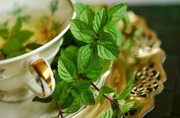 Emulate Android APK Peppermint For Health