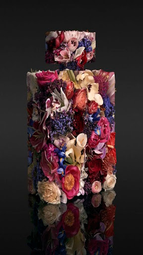 Run android online APK Perfume Wallpaper HD from MyAndroid or emulate Perfume Wallpaper HD using MyAndroid