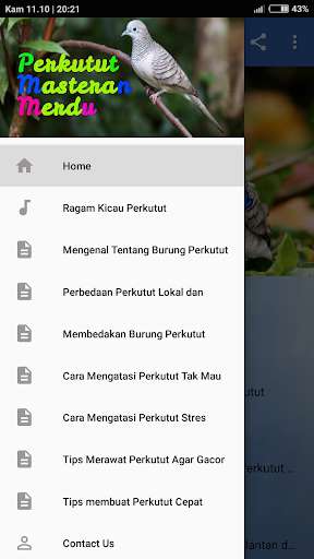 Run android online APK Perkutut Masteran Merdu OFFLINE from MyAndroid or emulate Perkutut Masteran Merdu OFFLINE using MyAndroid Run android online APK Perkutut Masteran Merdu OFFLINE from MyAndroid or emulate Perkutut Masteran Merdu OFFLINE using MyAndroid