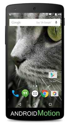 Emulate Android APK Persian Cats Background Emulate Android APK Persian Cats Background