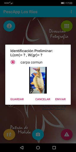 Run android online APK PescAppLosRios from MyAndroid or emulate PescAppLosRios using MyAndroid Run android online APK PescAppLosRios from MyAndroid or emulate PescAppLosRios using MyAndroid