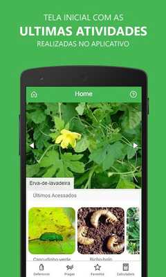 Emulate Android APK Pest of the Pastures Emulate Android APK Pest of the Pastures