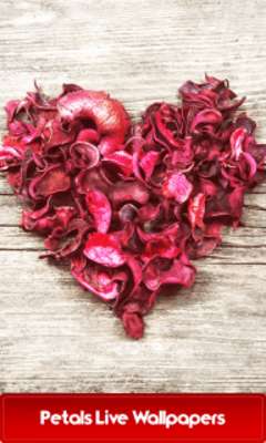 Emulate Android APK Petals Live Wallpapers