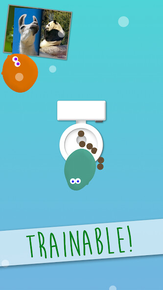 Run android online APK Pet Amoeba - Virtual Friends from MyAndroid or emulate Pet Amoeba - Virtual Friends using MyAndroid