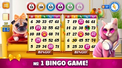Run android online APK Pet Bingo: Bingo Game 2022 from MyAndroid or emulate Pet Bingo: Bingo Game 2022 using MyAndroid Run android online APK Pet Bingo: Bingo Game 2022 from MyAndroid or emulate Pet Bingo: Bingo Game 2022 using MyAndroid