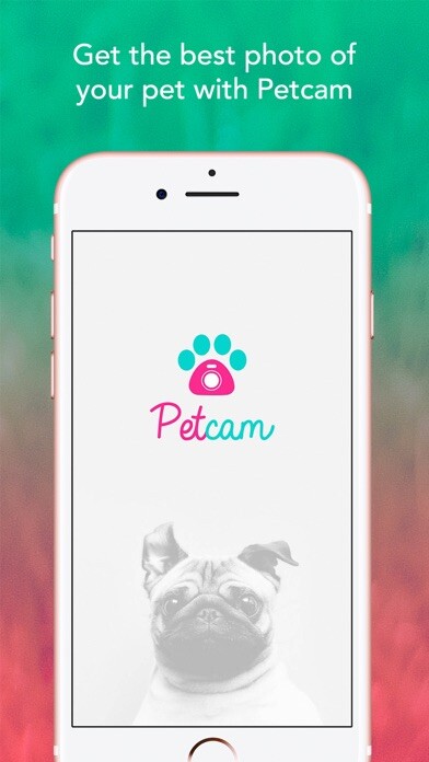 Emulate iPhone app Petcam - Pet Camera using MyAndroid