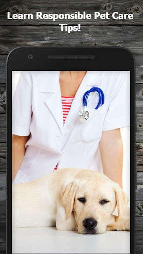 Run android online APK Pet Care Guide from MyAndroid or emulate Pet Care Guide using MyAndroid Run android online APK Pet Care Guide from MyAndroid or emulate Pet Care Guide using MyAndroid