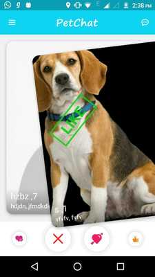 Emulate Android APK PetChat Emulate Android APK PetChat
