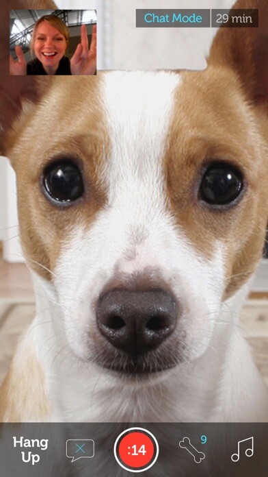 Emulate iPhone app PetChatz using MyAndroid Emulate iPhone app PetChatz using MyAndroid