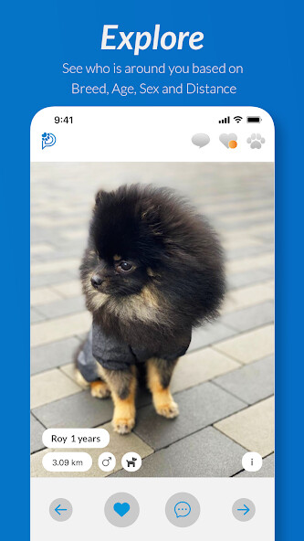 Run android online APK Petch from MyAndroid or emulate Petch using MyAndroid