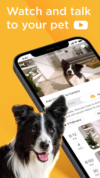 Run android online APK Petcube from MyAndroid or emulate Petcube using MyAndroid Run android online APK Petcube from MyAndroid or emulate Petcube using MyAndroid