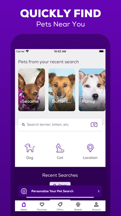 Run android online APK Petfinder - Adopt a Pet from MyAndroid or emulate Petfinder - Adopt a Pet using MyAndroid Run android online APK Petfinder - Adopt a Pet from MyAndroid or emulate Petfinder - Adopt a Pet using MyAndroid