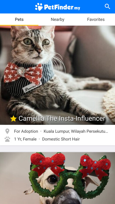 Emulate iPhone app PetFinder.my using MyAndroid
