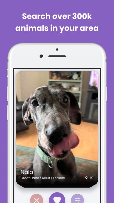 Emulate iPhone app Petly App using MyAndroid