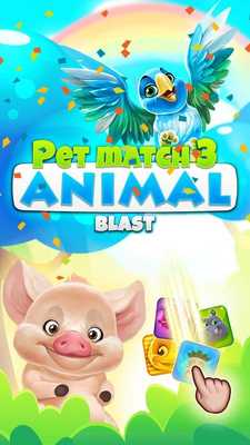 Emulate Android APK Pet Match 3: Animal Blast Game Emulate Android APK Pet Match 3: Animal Blast Game