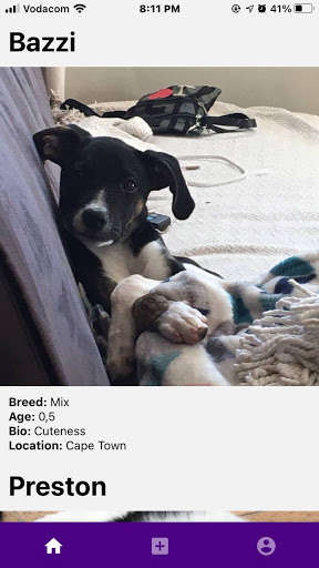 Run android online APK PetMeet from MyAndroid or emulate PetMeet using MyAndroid