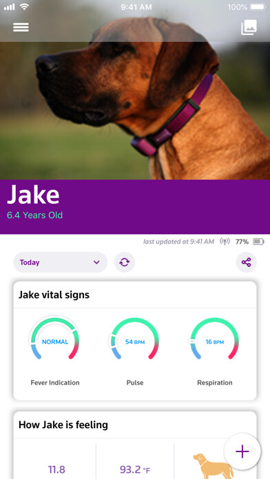 Emulate iPhone app PetPace using MyAndroid
