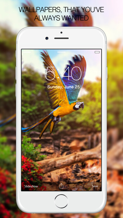 Emulate iPhone app Pet Photography – Pet Pictures & Pet Backgrounds using MyAndroid Emulate iPhone app Pet Photography – Pet Pictures & Pet Backgrounds using MyAndroid