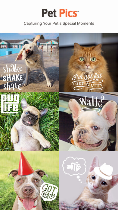 Emulate iPhone app Pet Pics - Pet Photo Editor using MyAndroid