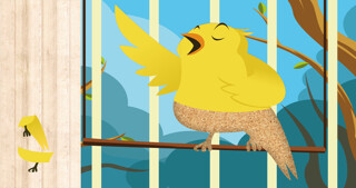 Emulate iPhone app Pet Puzzles for Kids using MyAndroid Emulate iPhone app Pet Puzzles for Kids using MyAndroid