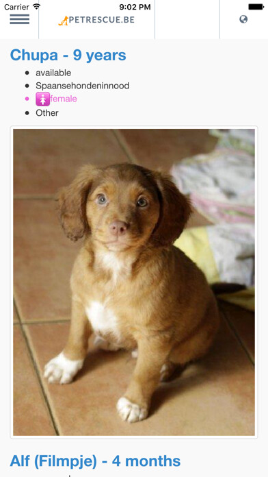 Emulate iPhone app PetRescue.be using MyAndroid Emulate iPhone app PetRescue.be using MyAndroid
