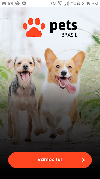 Run android online APK Pets Brasil from MyAndroid or emulate Pets Brasil using MyAndroid