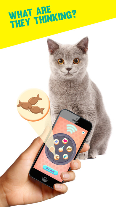Emulate iPhone app Pet Scanner - Know Their Mood Without Talking using MyAndroid Emulate iPhone app Pet Scanner - Know Their Mood Without Talking using MyAndroid
