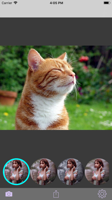 Emulate iPhone app Pet Selfie AI using MyAndroid Emulate iPhone app Pet Selfie AI using MyAndroid