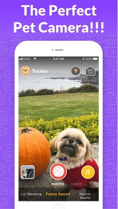 Emulate iPhone app PetSelfie- DogCam and CatCam using MyAndroid Emulate iPhone app PetSelfie- DogCam and CatCam using MyAndroid
