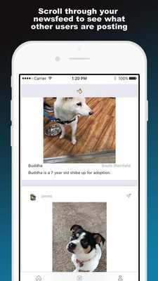 Emulate Android APK Pets Ive Met