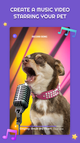 Run android online APK PetStar: My Dog Cat Sings from MyAndroid or emulate PetStar: My Dog Cat Sings using MyAndroid Run android online APK PetStar: My Dog Cat Sings from MyAndroid or emulate PetStar: My Dog Cat Sings using MyAndroid