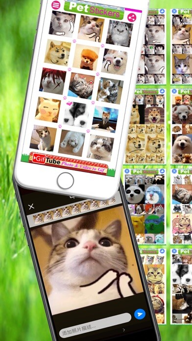 Emulate iPhone app Pet Stickers - Cats & Dogs Animated Gif Stickers using MyAndroid Emulate iPhone app Pet Stickers - Cats & Dogs Animated Gif Stickers using MyAndroid