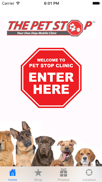 Run android online APK Pet Stop Clinic from MyAndroid or emulate Pet Stop Clinic using MyAndroid Run android online APK Pet Stop Clinic from MyAndroid or emulate Pet Stop Clinic using MyAndroid