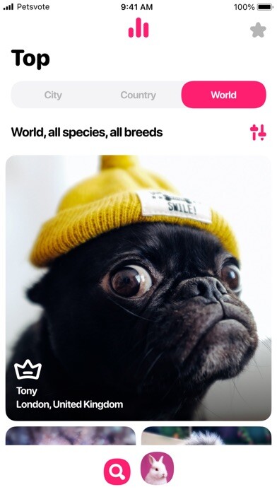 Emulate iPhone app Petsvote using MyAndroid Emulate iPhone app Petsvote using MyAndroid