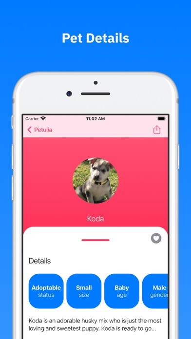 Emulate iPhone app Petulia, Adorable Shelter Pets using MyAndroid Emulate iPhone app Petulia, Adorable Shelter Pets using MyAndroid