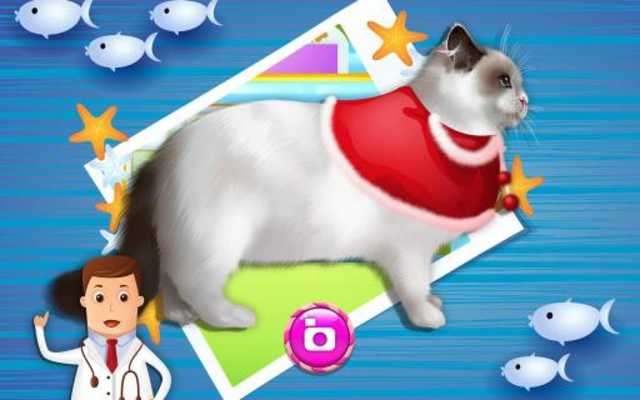 Emulate Android APK Pet Vet Dr - Animals Hospital Emulate Android APK Pet Vet Dr - Animals Hospital