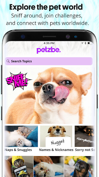 Run android online APK Petzbe from MyAndroid or emulate Petzbe using MyAndroid