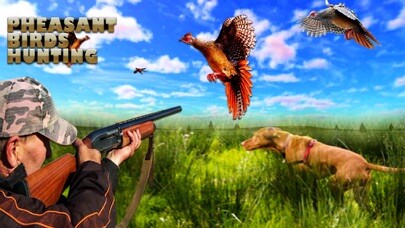 Emulate iPhone app Pheasant Bird Hunting Pro using MyAndroid Emulate iPhone app Pheasant Bird Hunting Pro using MyAndroid