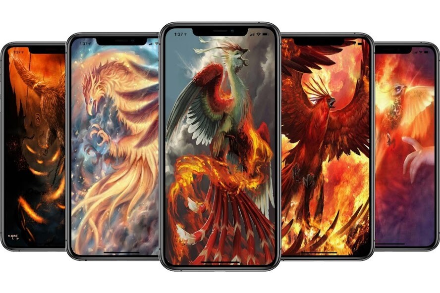 Run android online APK Phoenix Video Live Wallpaper from MyAndroid or emulate Phoenix Video Live Wallpaper using MyAndroid